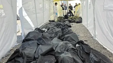Han identificado 251 de los 386 cuerpos hallados en el caso Crematorio Plenitud