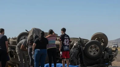 Conductor fallece tras aparatosa salida de camino y volcadura en el kilómetro 290