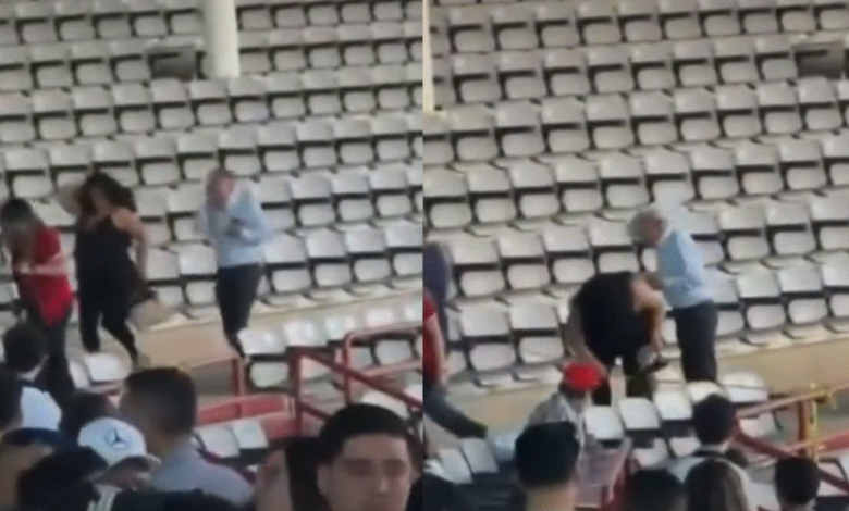 Lo que era una tarde de béisbol terminó en caos... 19 aficionados fueron atacados por abejas