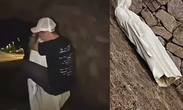Captura de video con una persona junto a una figura blanca y la estatua de la Virgen María vandalizada en el suelo en Francia