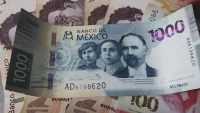 Expediente de pensión del IMSS con información sobre semanas cotizadas y conservación de derechos bajo la Ley 73